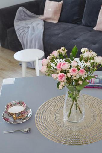 Apartment Sliska *